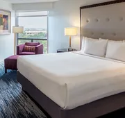 Sonesta Hotel Houston IAH Airport hotel detail image 7