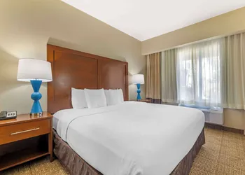 Comfort Suites Near Vancouver Mall hotel thumbnail 7