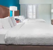 Residence Inn by Marriott St Louis Downtown hotel detail image 7