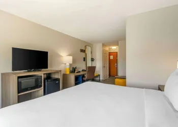 Comfort Suites Sarasota - Siesta Key hotel thumbnail 7