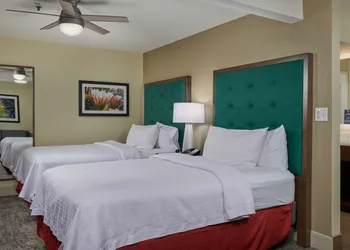 Homewood Suites by Hilton Sarasota hotel thumbnail 6