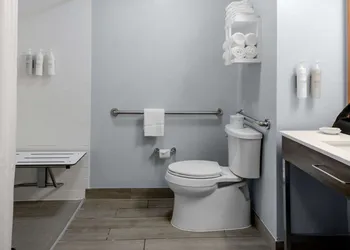 Hampton Inn Sarasota - I-75 Bee Ridge hotel thumbnail 8