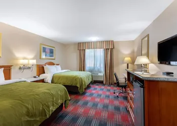 Quality Inn & Suites Oceanside near Camp Pendleton hotel thumbnail 6