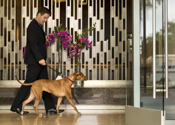 Four Seasons Hotel Silicon Valley at East Palo Alto hotel thumbnail 6