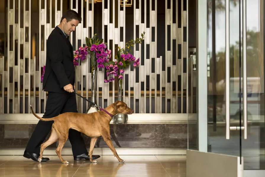 Four Seasons Hotel Silicon Valley at East Palo Alto hotel detail image 6