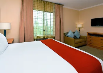 Holiday Inn Express & Suites Santa Clara-Silicon Valley by IHG hotel thumbnail 7