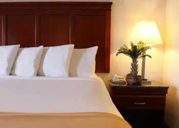 Rodeway Inn Santa Clara El Camino Real hotel thumbnail 7