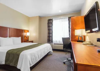 Quality Inn San Jose Airport/Silicon Valley hotel thumbnail 7
