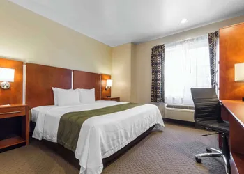 Quality Inn San Jose Airport/Silicon Valley hotel thumbnail 8