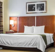 Quality Inn San Jose Airport/Silicon Valley hotel detail image 3