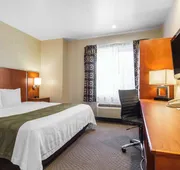 Quality Inn San Jose Airport/Silicon Valley hotel detail image 7