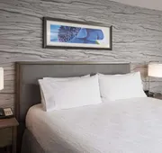 Homewood Suites by Hilton Ottawa Downtown hotel detail image 7
