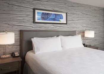 Homewood Suites by Hilton Ottawa Downtown hotel thumbnail 7