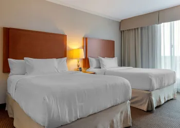 Best Western Plus Gatineau-Ottawa Downtown hotel thumbnail 8