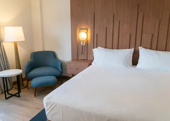 Hotel Indigo Detroit Downtown by IHG hotel thumbnail 7