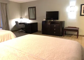 Hampton Inn & Suites Detroit-Canton hotel thumbnail 7