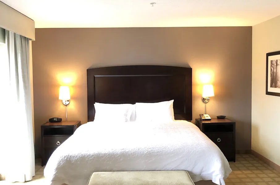 Hampton Inn & Suites Detroit-Canton hotel detail image 6