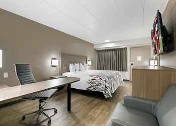 Red Roof Inn Washington DC - Laurel hotel thumbnail 4