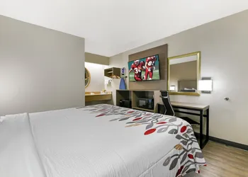 Red Roof Inn Washington DC - Laurel hotel thumbnail 8