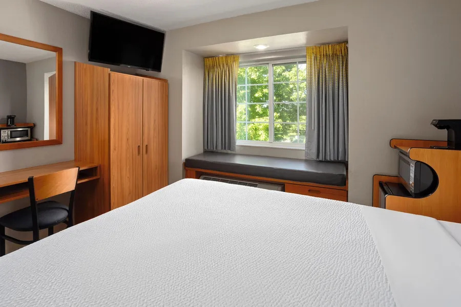 Microtel Inn & Suites by Wyndham Ann Arbor hotel detail image 6