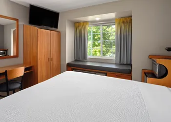 Microtel Inn & Suites by Wyndham Ann Arbor hotel thumbnail 6