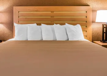 Quality Inn & Suites Warren - Detroit hotel thumbnail 6