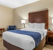 Comfort Inn Near Greenfield Village hotel detail image 4
