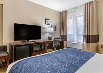 Comfort Inn Near Greenfield Village hotel thumbnail 5