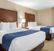 Comfort Inn Near Greenfield Village hotel detail image 7