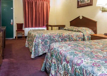 Rodeway Inn Madison Heights - Detroit hotel thumbnail 8