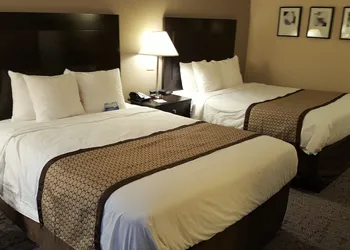 Baymont by Wyndham Belleville Airport Area hotel thumbnail 5