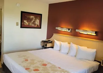 Red Oak Inn Detroit - Southfield hotel thumbnail 4