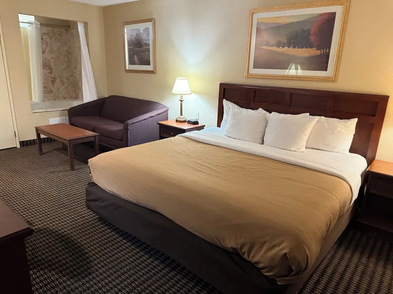 Wingate by Wyndham Livonia hotel detail image 6