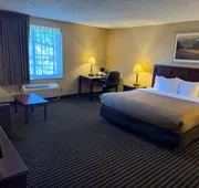 Wingate by Wyndham Livonia hotel detail image 7