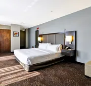 Holiday Inn Express Romulus / Detroit Airport by IHG hotel detail image 3