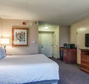 Hilton Garden Inn Detroit Metro Airport hotel detail image 4