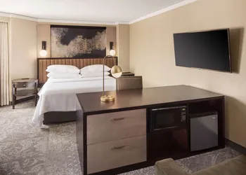Embassy Suites by Hilton Tysons Corner hotel thumbnail 5