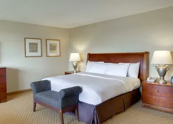 DoubleTree by Hilton Washington Dulles Airport hotel thumbnail 7