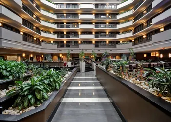 Embassy Suites by Hilton Dulles Airport hotel thumbnail 4