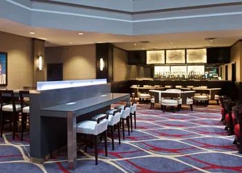 Embassy Suites by Hilton Dulles Airport hotel thumbnail 6