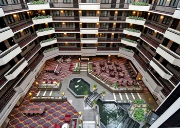 Embassy Suites by Hilton Dulles Airport hotel thumbnail 8
