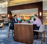 Hyatt Regency Dulles International Airport hotel detail image 3