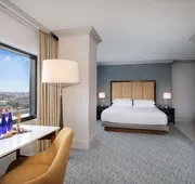 Hyatt Regency Dulles International Airport hotel detail image 7