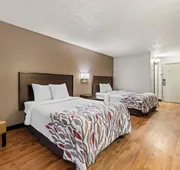Red Roof Inn Charlotte - University hotel detail image 7