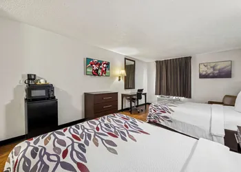 Red Roof Inn Charlotte - University hotel thumbnail 8