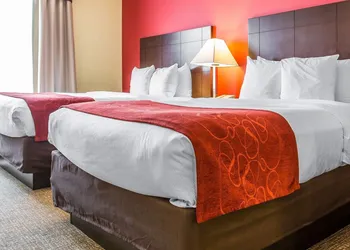 Comfort Suites Rock Hill Manchester Meadows Area hotel thumbnail 6