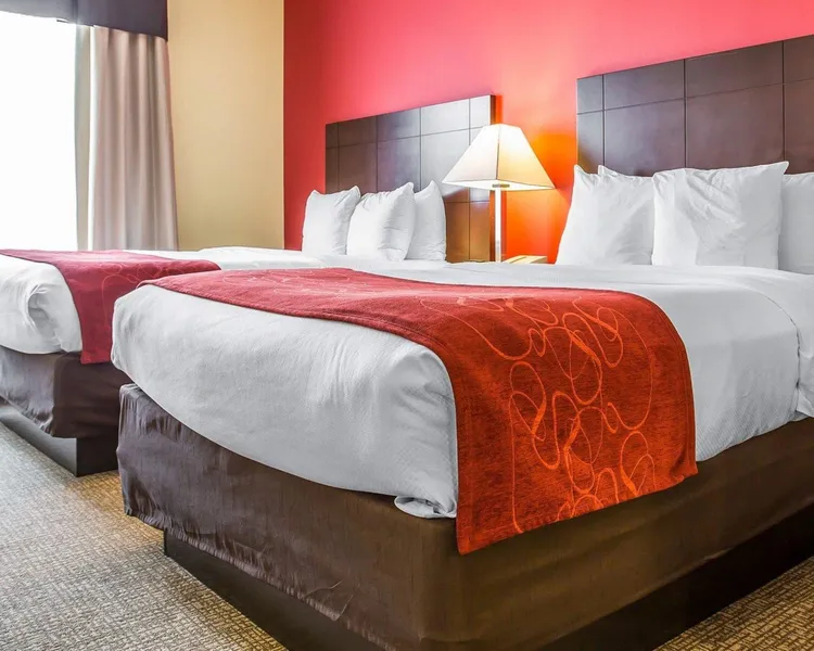 Comfort Suites Rock Hill Manchester Meadows Area hotel detail image 6