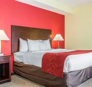 Comfort Suites Rock Hill Manchester Meadows Area hotel detail image 7