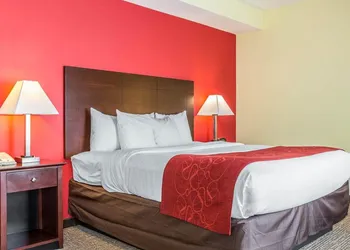 Comfort Suites Rock Hill Manchester Meadows Area hotel thumbnail 7