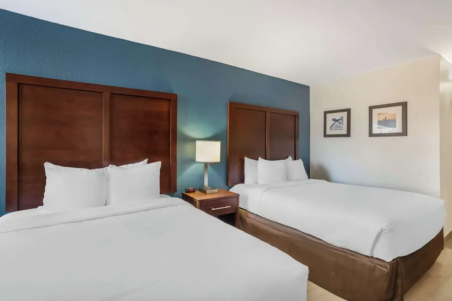 Comfort Inn Charlotte Airport Uptown hotel detail image 6